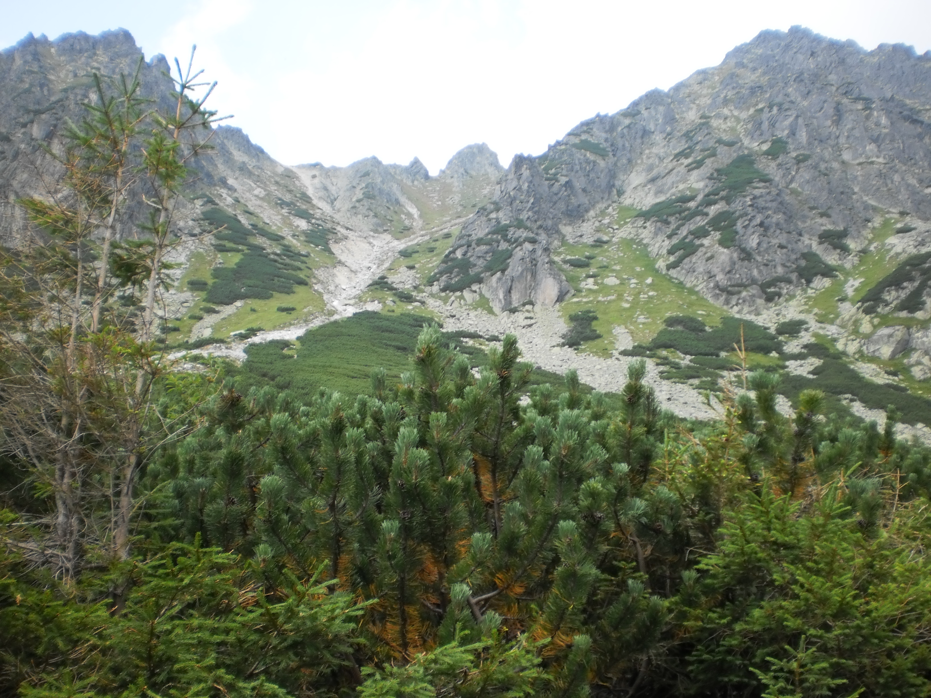 tatry (58)