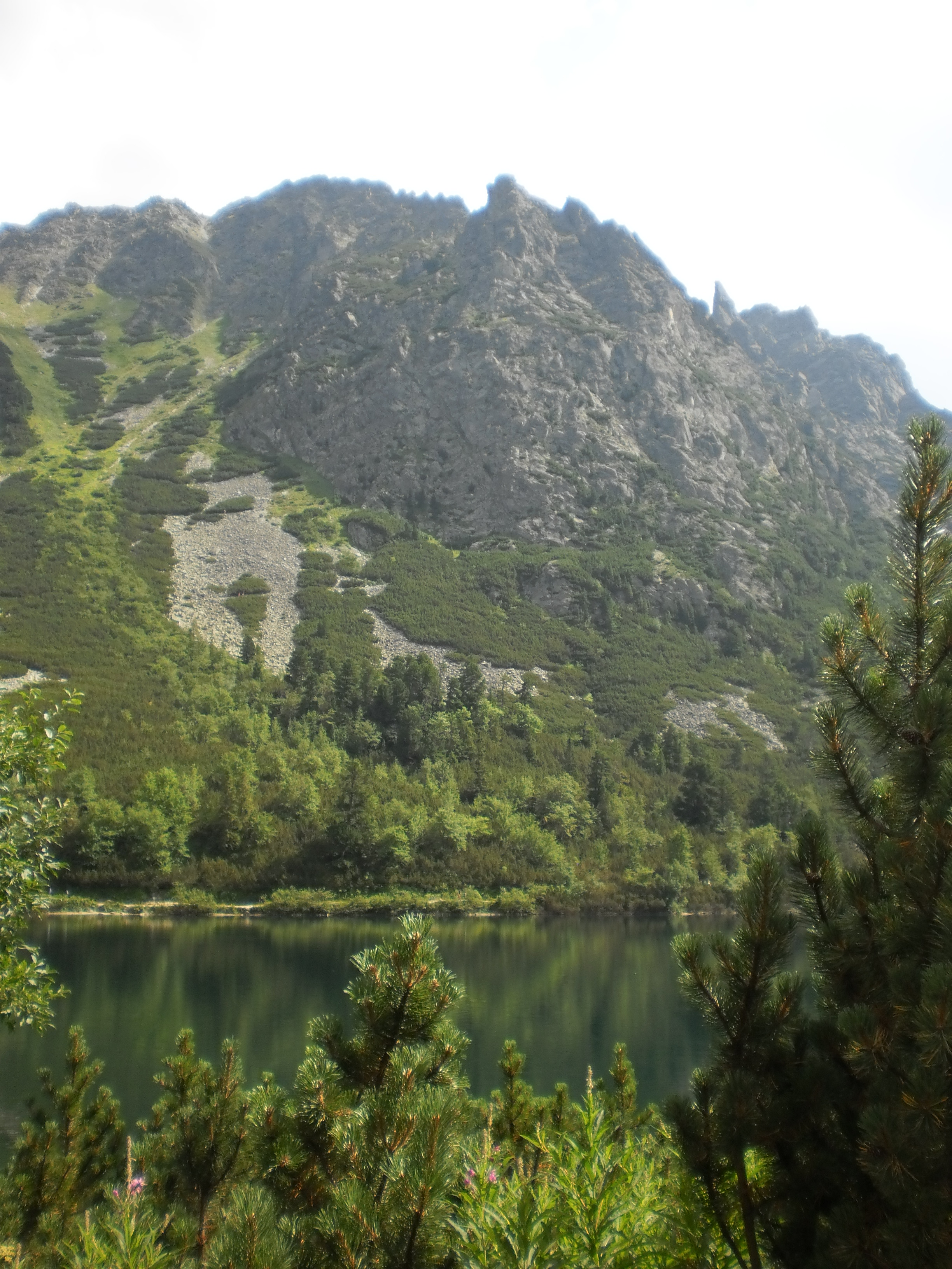 tatry (166)