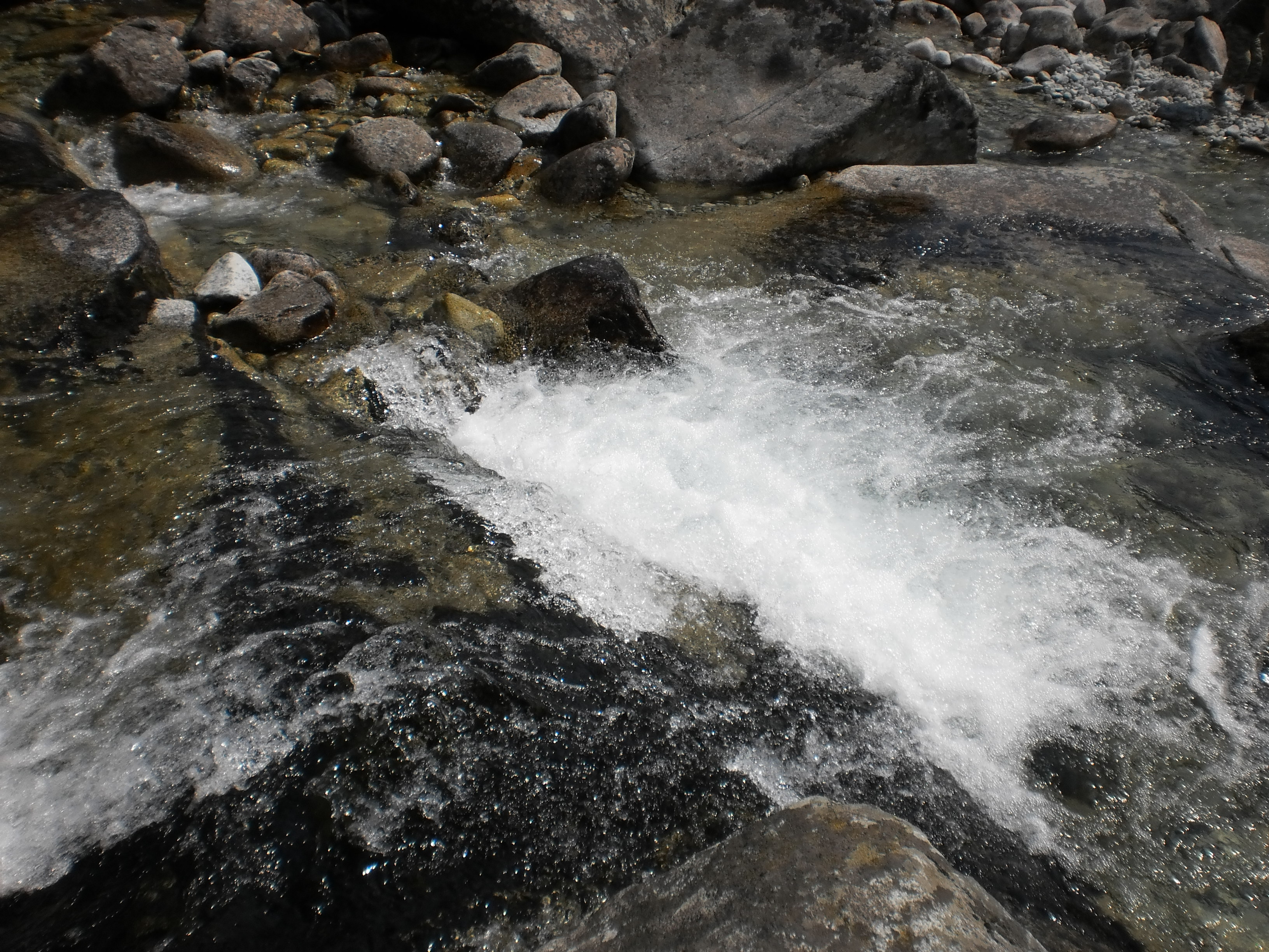 tatry (126)