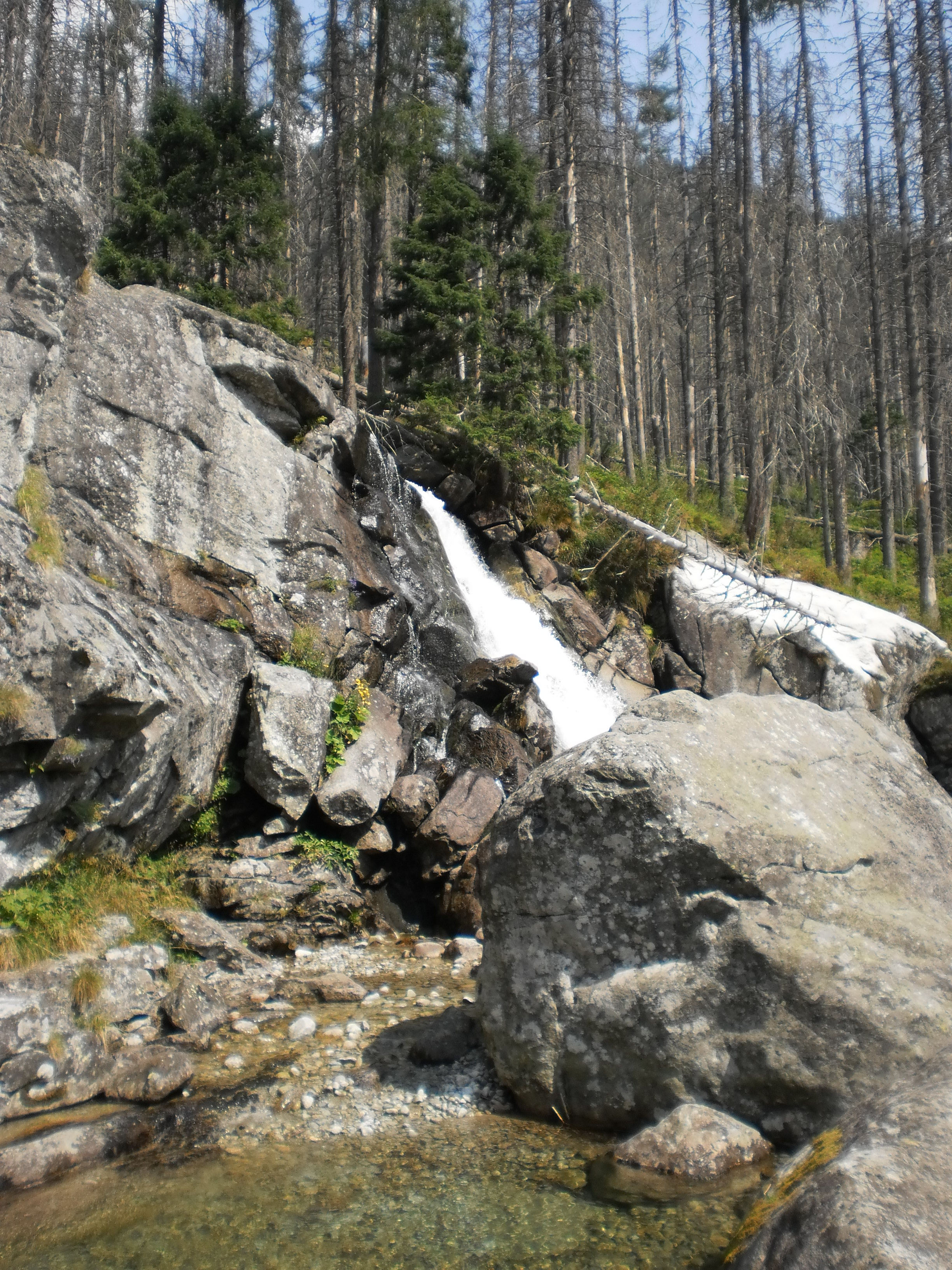 tatry (128)