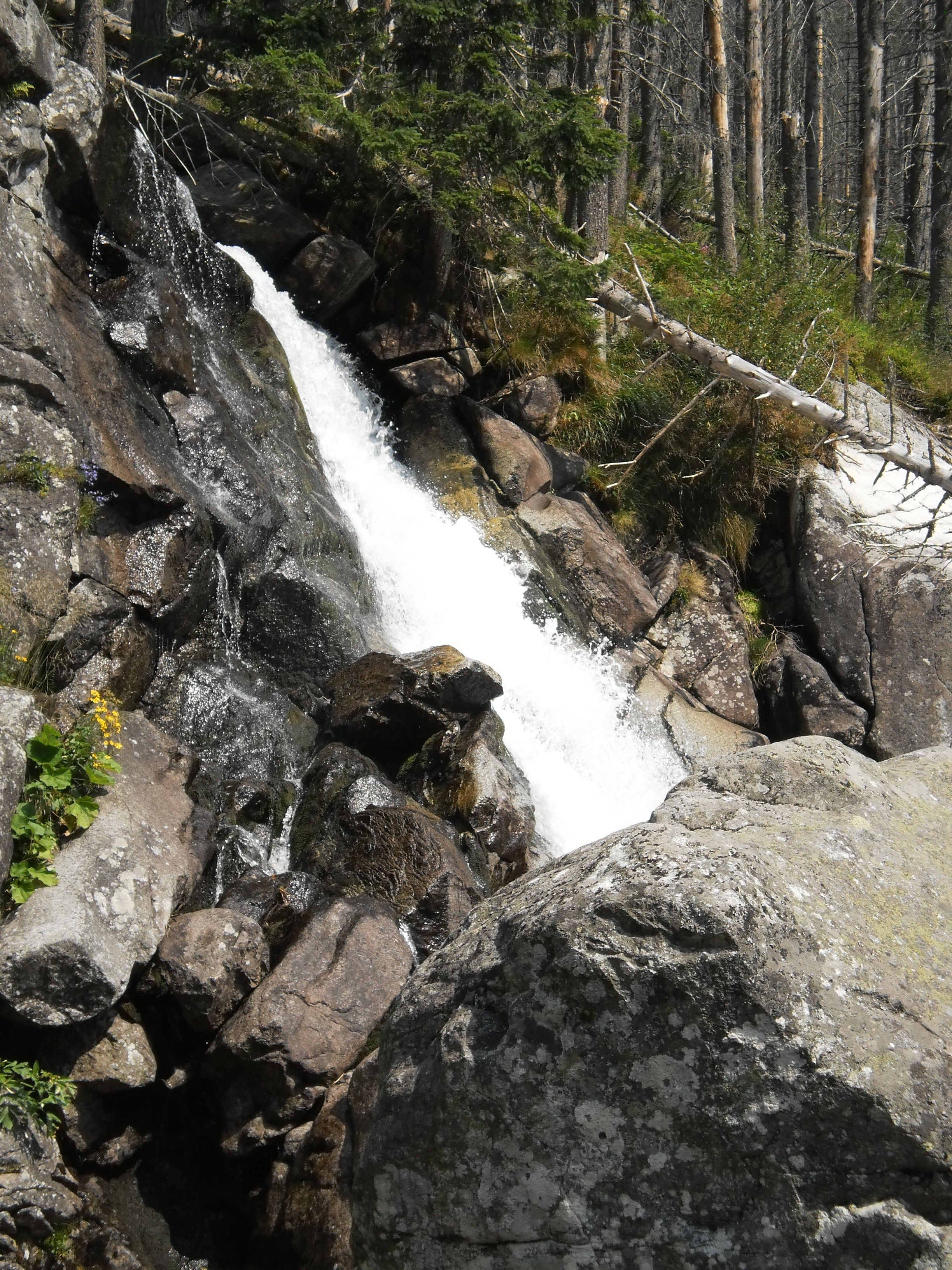 tatry (129)