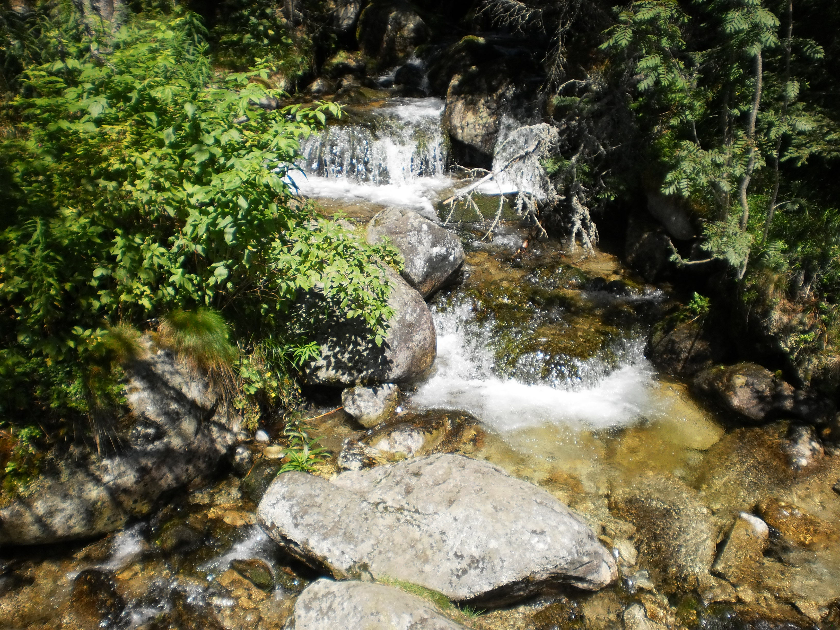 tatry (75)