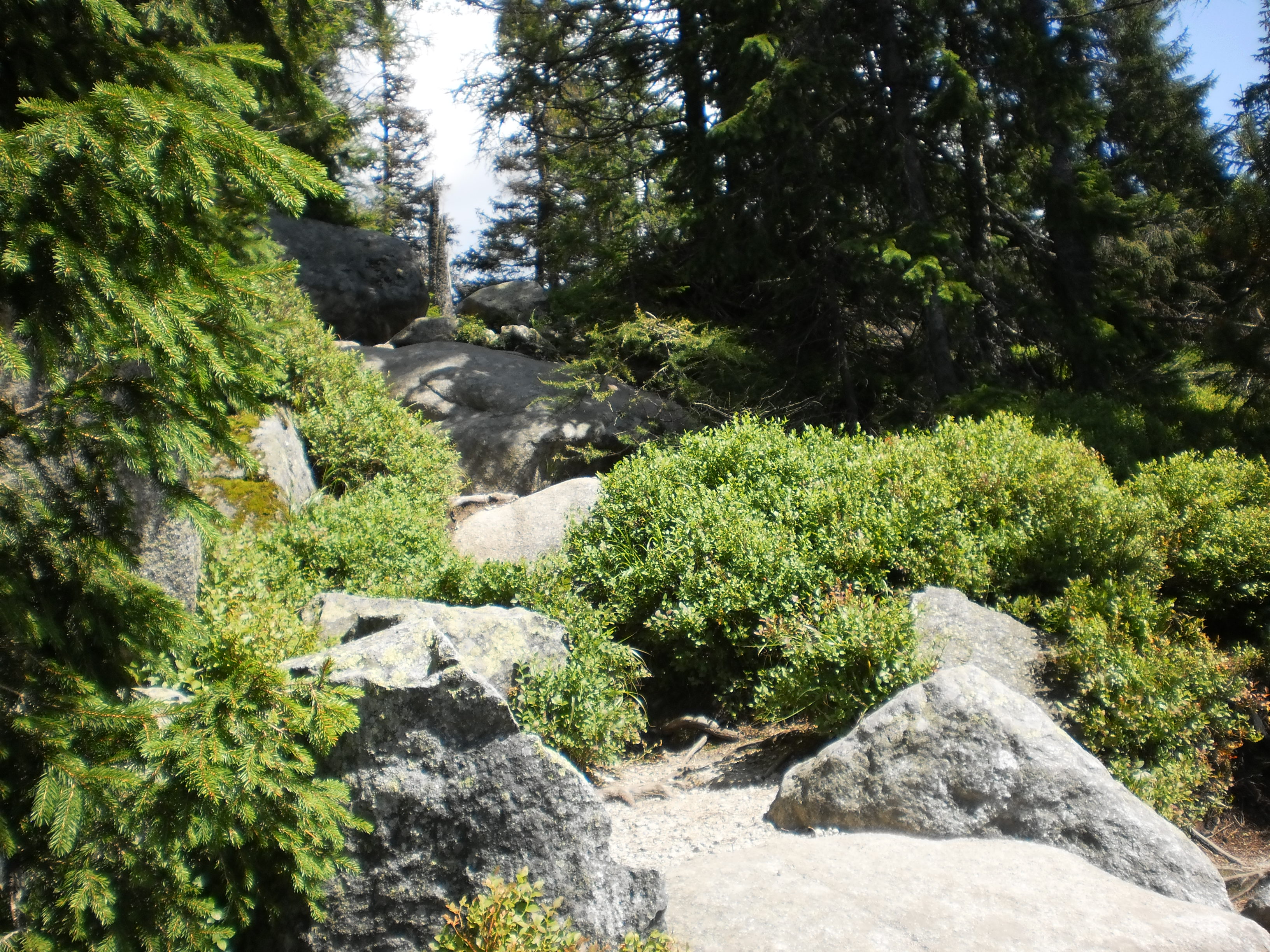 tatry (86)