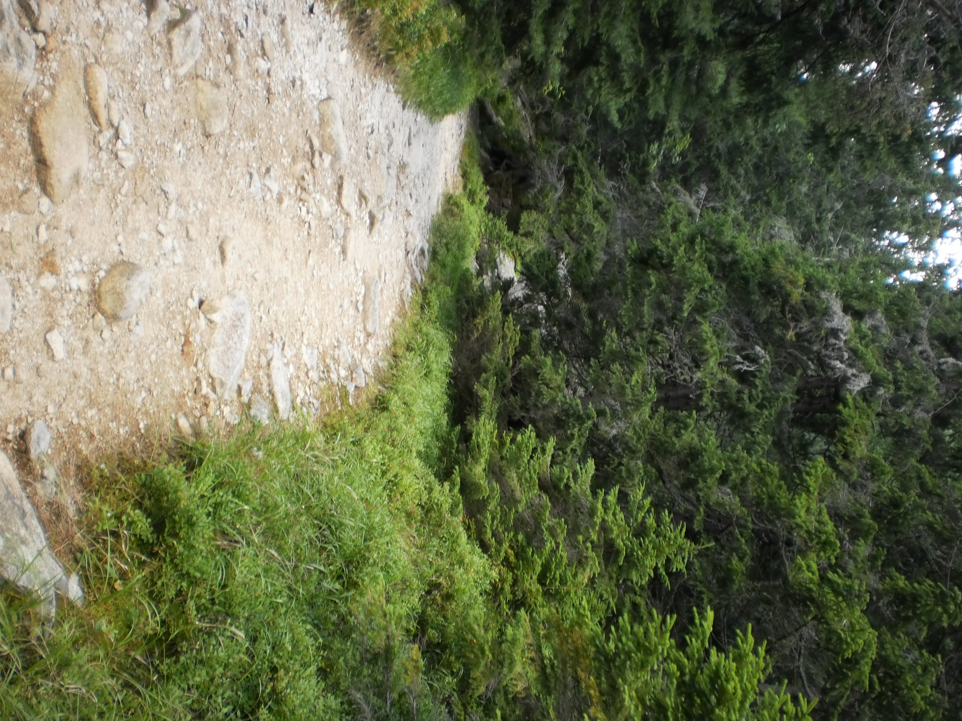 tatry (105)