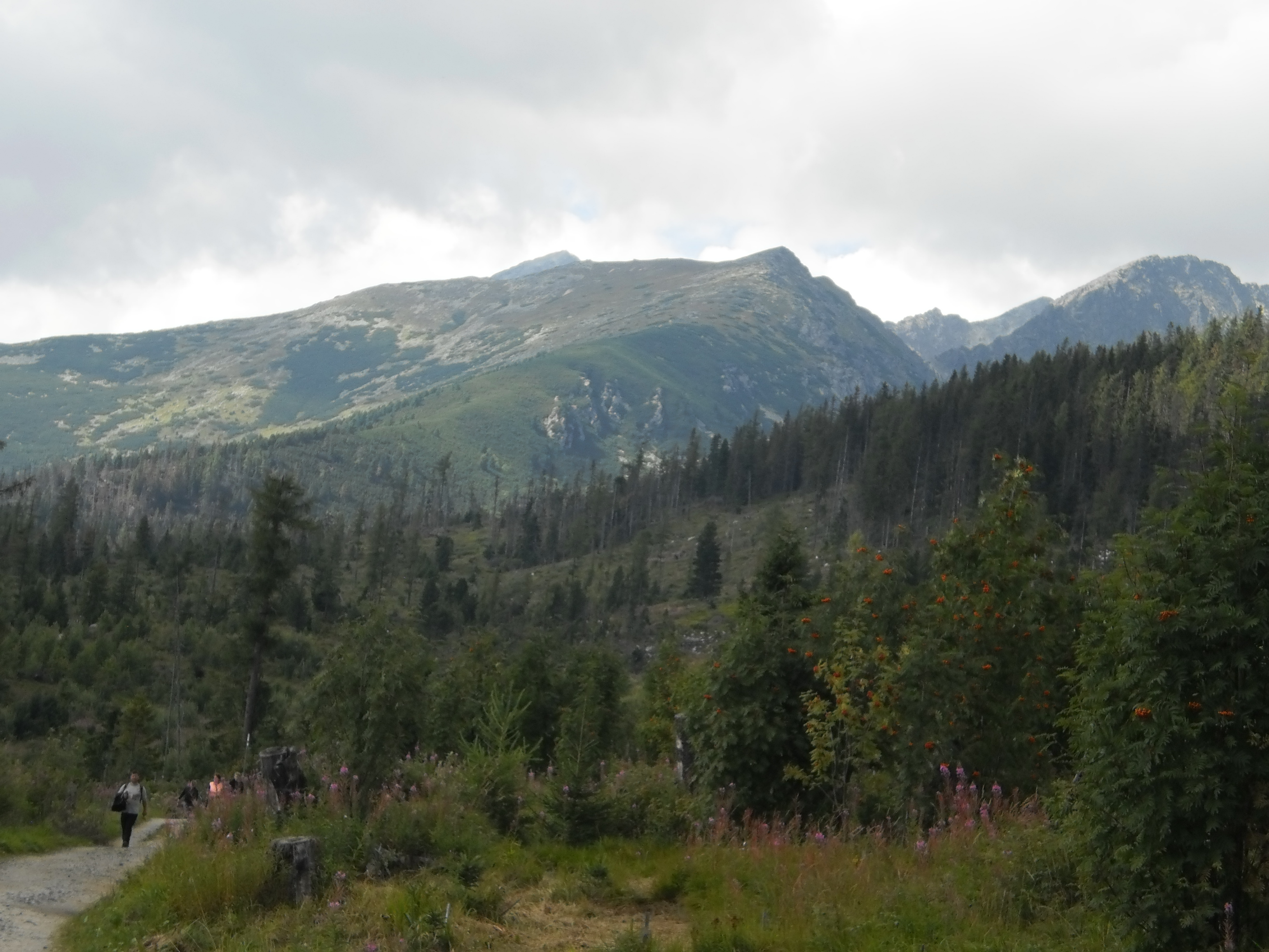 tatry (113)