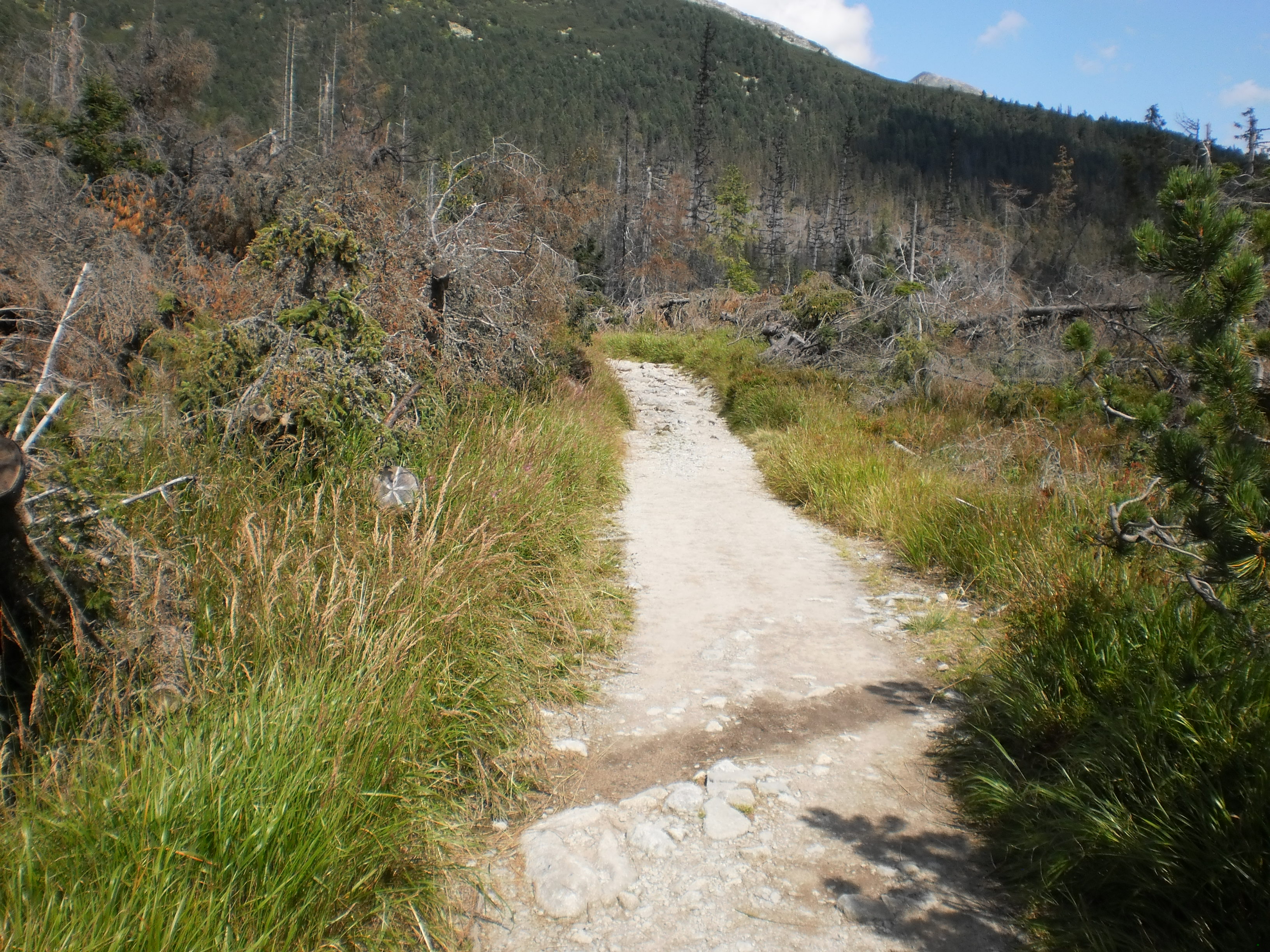 tatry (94)